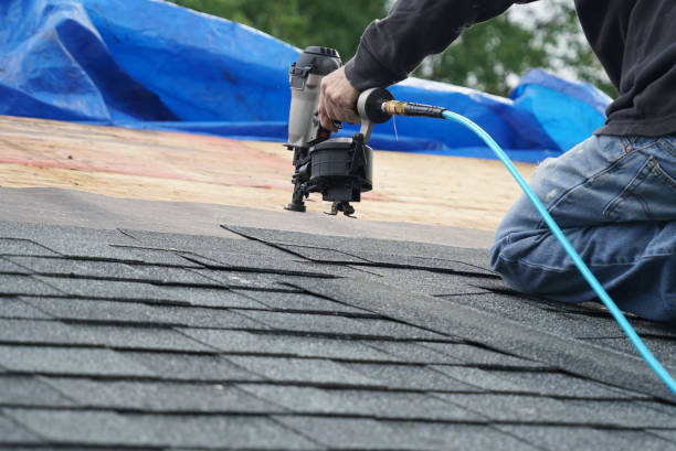 Best Roof Leak Repair  in South Hill, VA